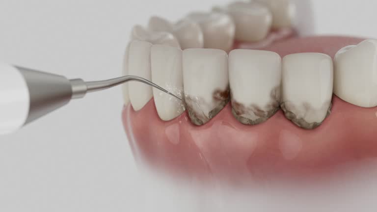 Reliable Dental contractor in Morrilton, AR by Dentist Open Now